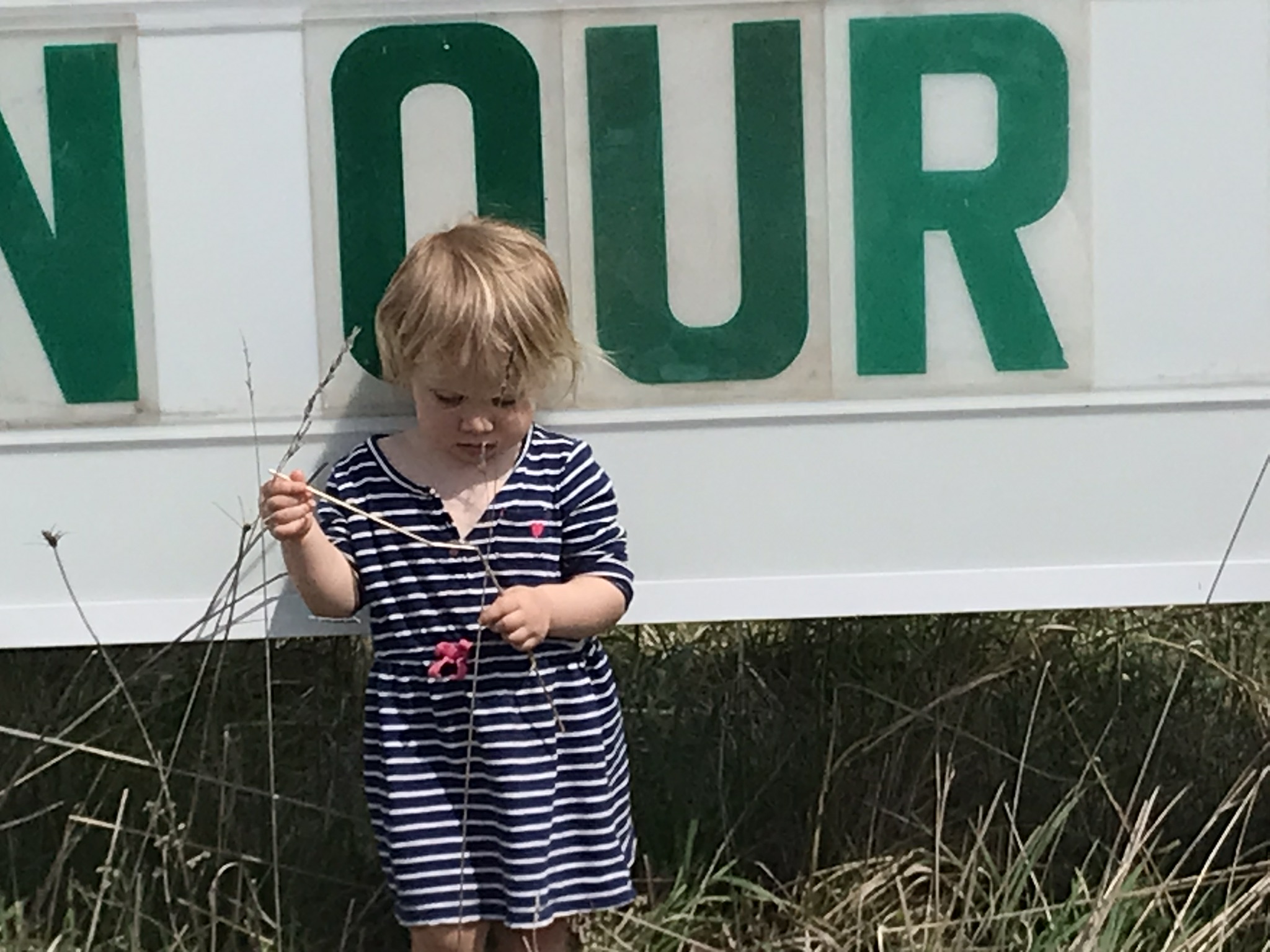 2024 In Photos at Good Soil Farm