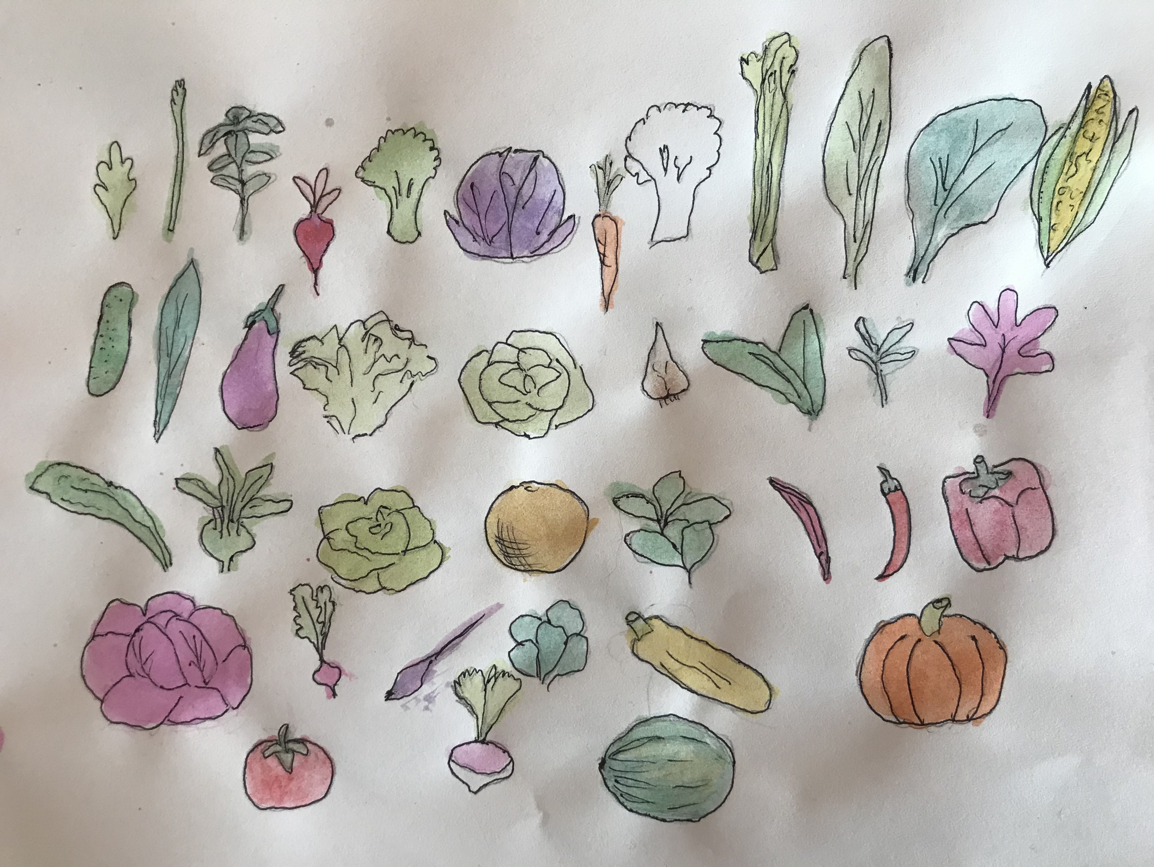 Over 1 Million Seeds!!!!!!