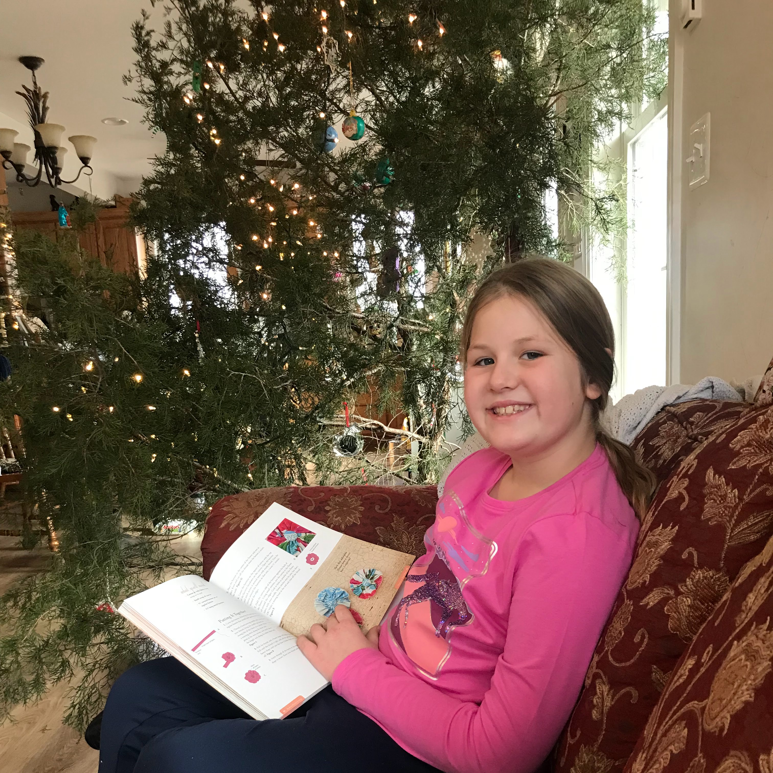 Top 12 Christmas Gift Ideas for CSA Members!